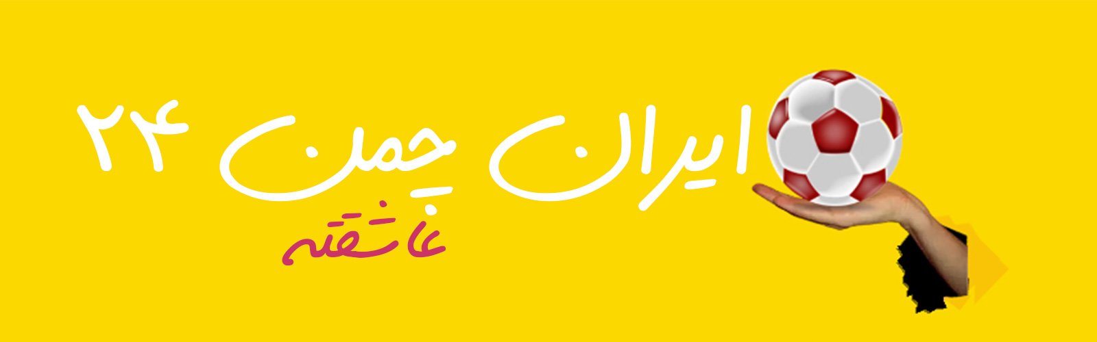 ایرانچن و نیوساد عاشق چمن مصنوعی تزئینی و ورزشی