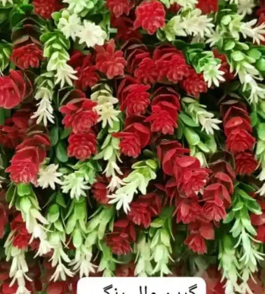 گرین وال رنگی