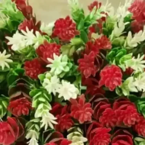 گرین وال رنگی
